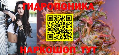 хмурый Шелехов