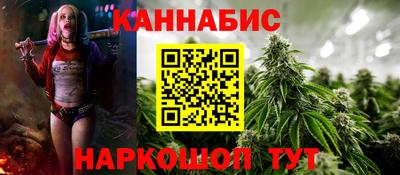 хмурый Шелехов