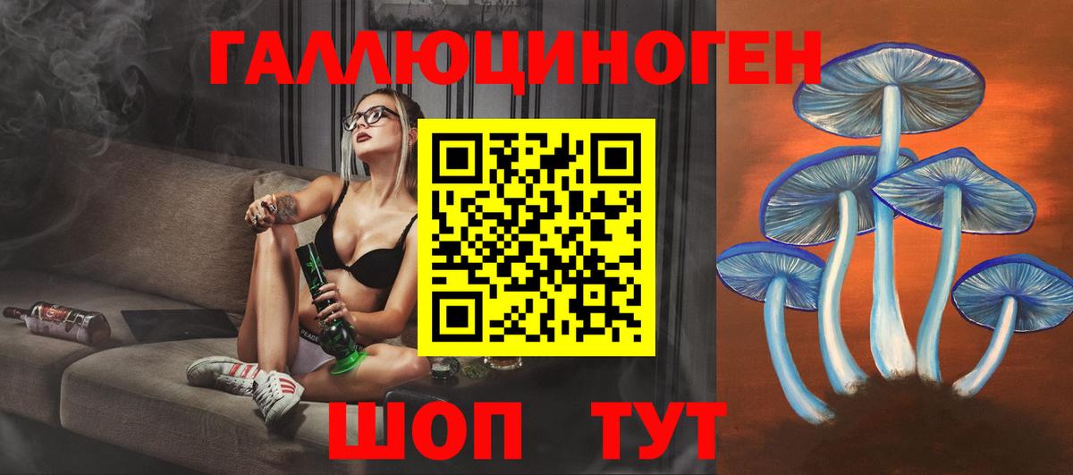 Фрязино  Галлюциногенные грибы прущие грибы  Вход с VPN 